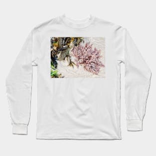 Seaweed Studies Long Sleeve T-Shirt